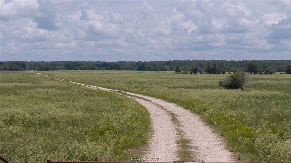 Bryan, Texas 77808, United States, ,Land,Active,50238