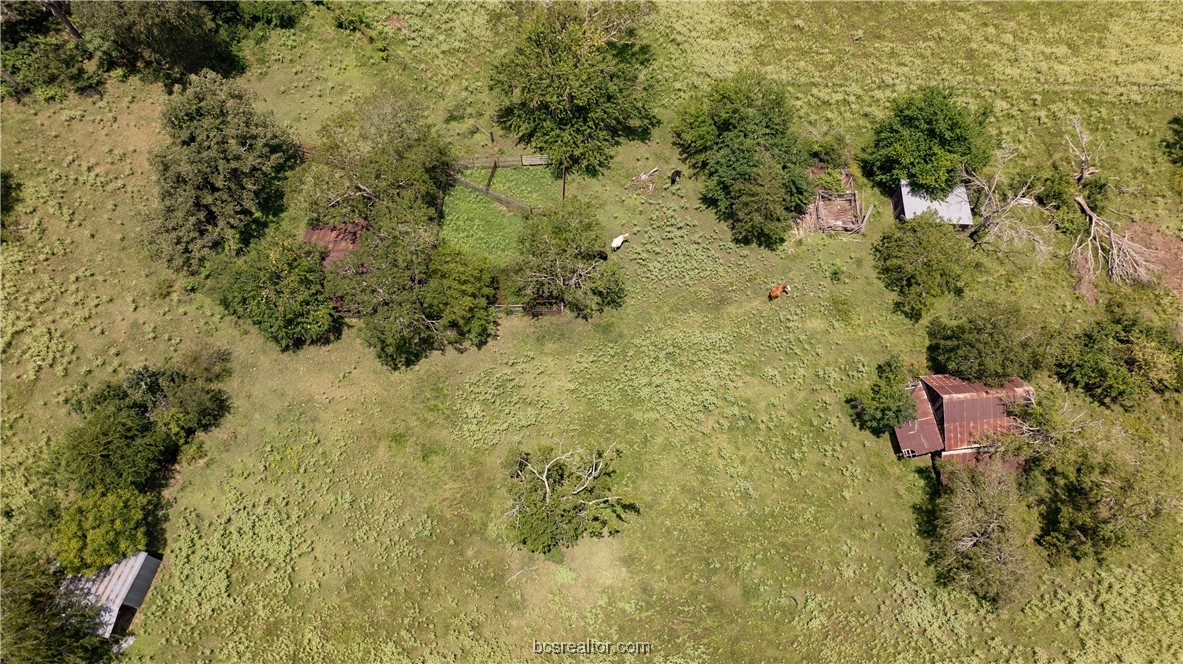 Bryan, Texas 77808, United States, ,Land,Active,50238