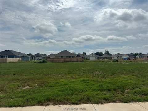 Tiny photo for 2871 Messenger Way, Bryan, TX 77803 (MLS # 26006142)