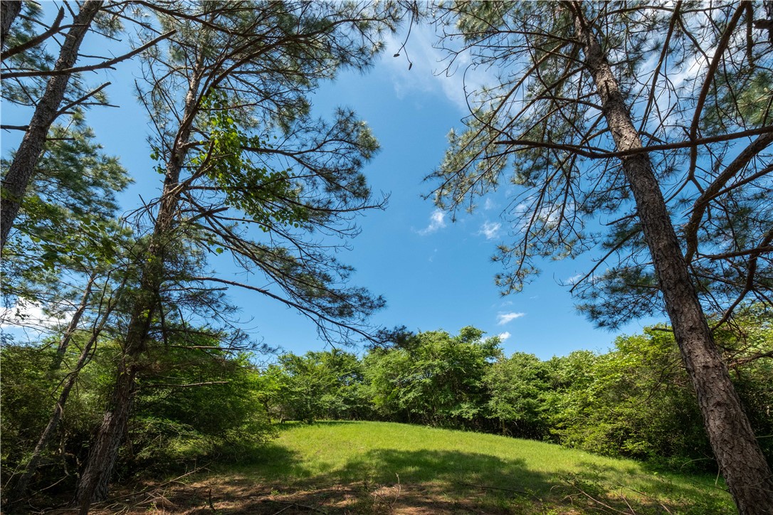 2199 Navasota Ridge (Pvt)