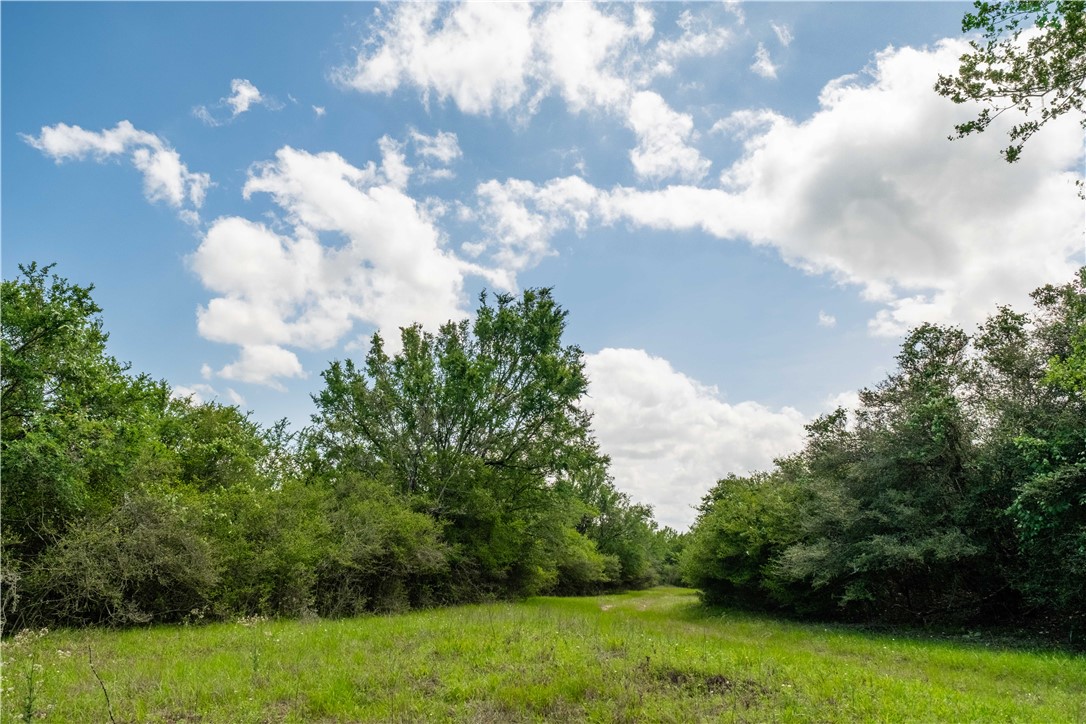 2199 Navasota Ridge (Pvt)