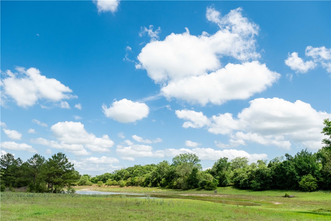 2199 Navasota Ridge (Pvt)