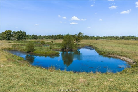 Tiny photo for 9625 E OSR, Hearne, TX 77859 (MLS # 26011141)