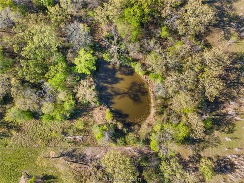 Tiny photo for 15409 Piney Oaks Lane, Iola, TX 77861 (MLS # 26003350)