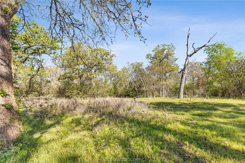Tiny photo for 15409 Piney Oaks Lane, Iola, TX 77861 (MLS # 26003350)