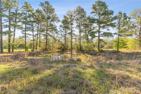 Tiny photo for 15409 Piney Oaks Lane, Iola, TX 77861 (MLS # 26003350)