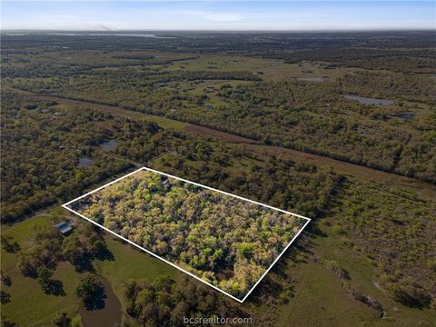 Tiny photo for 15409 Piney Oaks Lane, Iola, TX 77861 (MLS # 26003350)