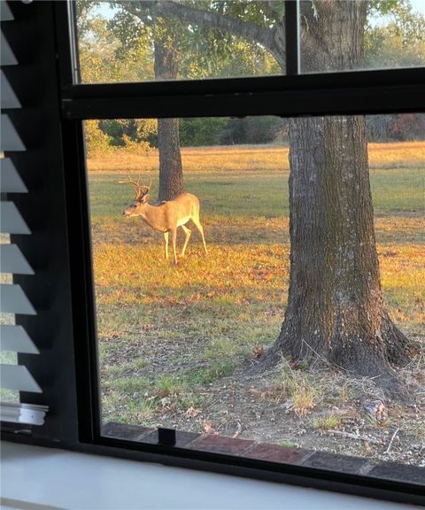 Tiny photo for 10794 FM 2159, Calvert, TX 77837 (MLS # 26003218)