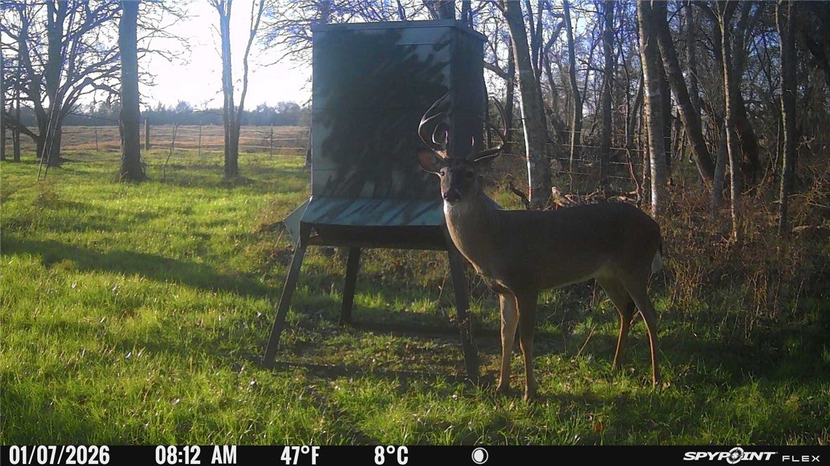 5409 FM 979 (Lot 1)