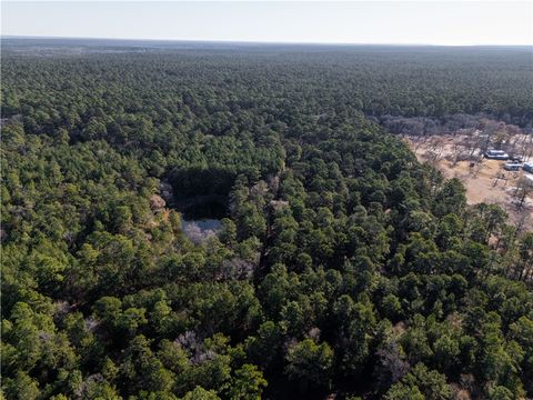 Tiny photo for 19359 Forest Road 219, Richards, TX 77873 (MLS # 26001523)