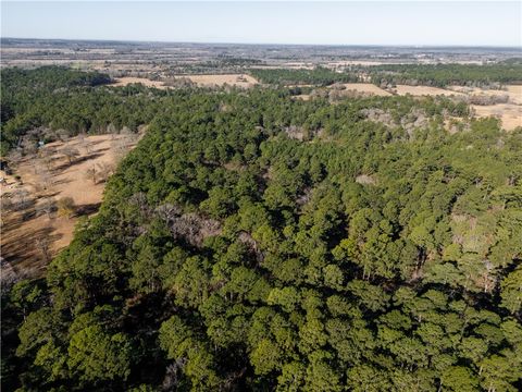 Tiny photo for 19359 Forest Road 219, Richards, TX 77873 (MLS # 26001523)