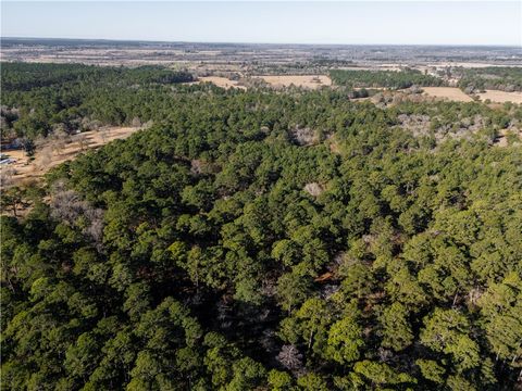 Tiny photo for 19359 Forest Road 219, Richards, TX 77873 (MLS # 26001523)