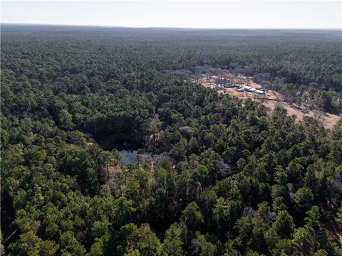 Tiny photo for 19359 Forest Road 219, Richards, TX 77873 (MLS # 26001523)