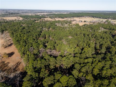 Tiny photo for 19359 Forest Road 219, Richards, TX 77873 (MLS # 26001523)