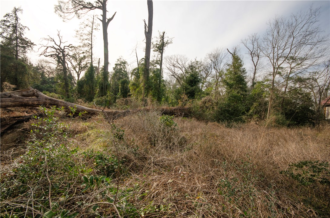 2455 County Road 386