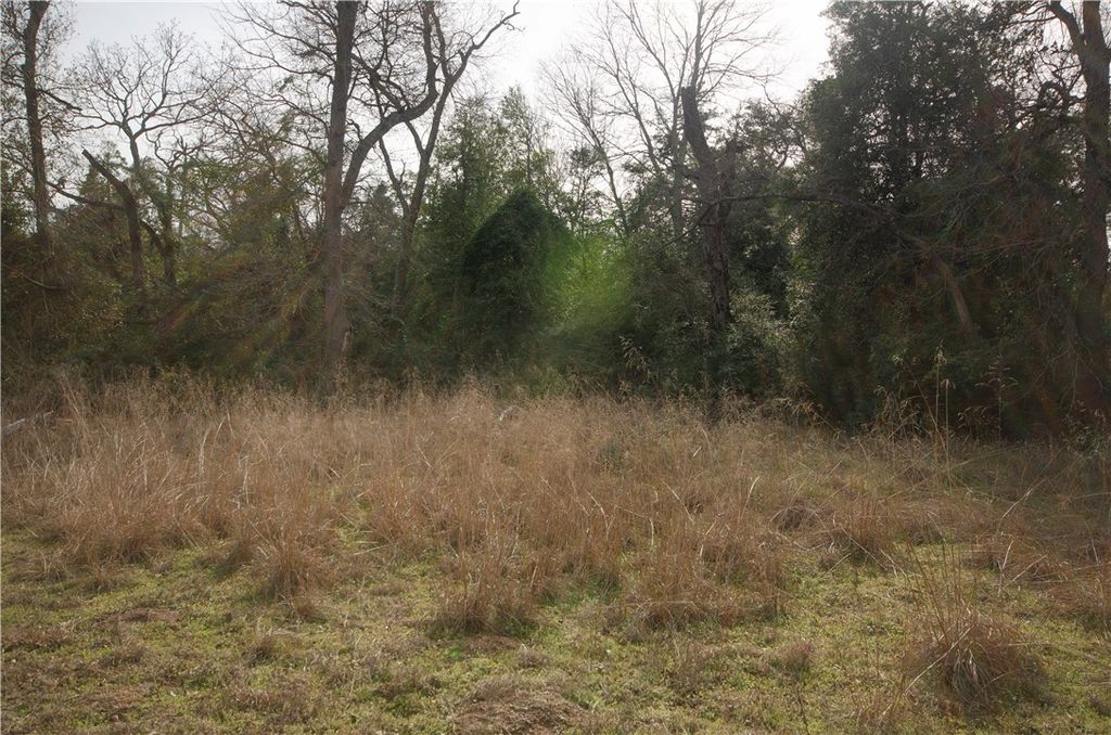 Photo of 2455 County Road 386, Marquez, TX 77865 (MLS # 26001386)