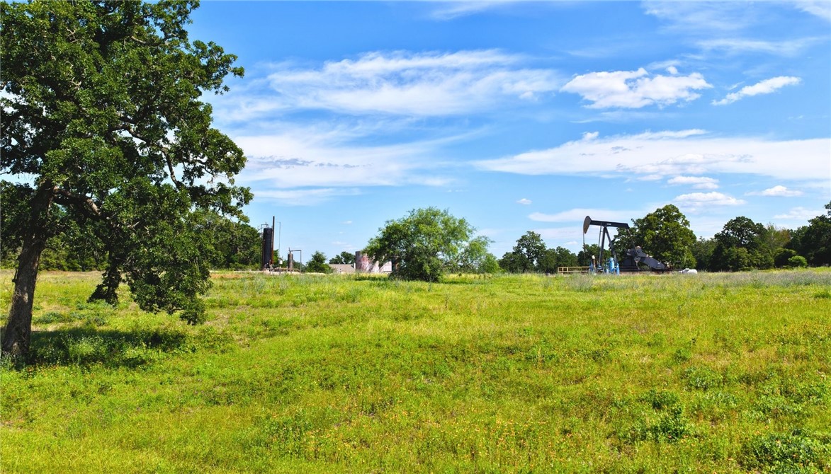 (Tract 2) Green Hill Road (+/-10.2 acres)