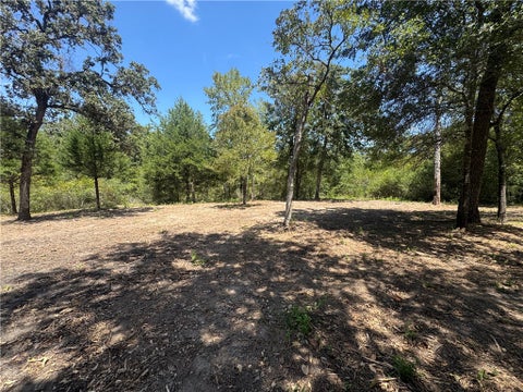 Tiny photo for 11428 Debbie Lane, Iola, TX 77861 (MLS # 26011154)