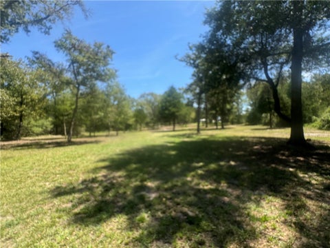 Tiny photo for 11428 Debbie Lane, Iola, TX 77861 (MLS # 26011154)