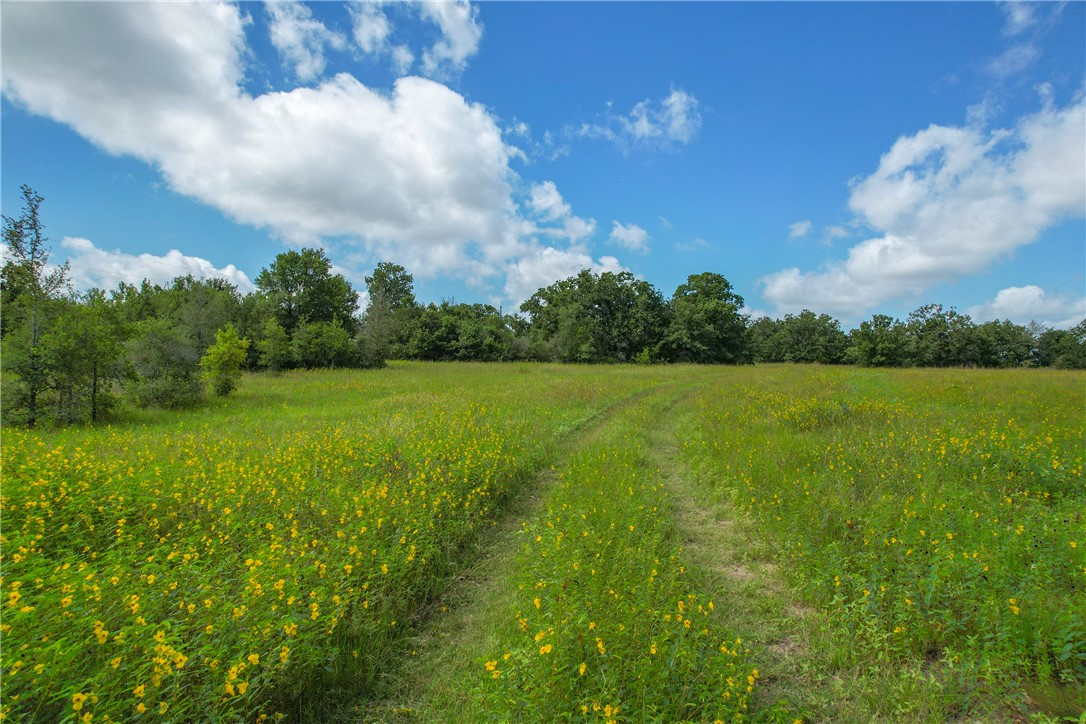 10344 County Road 446