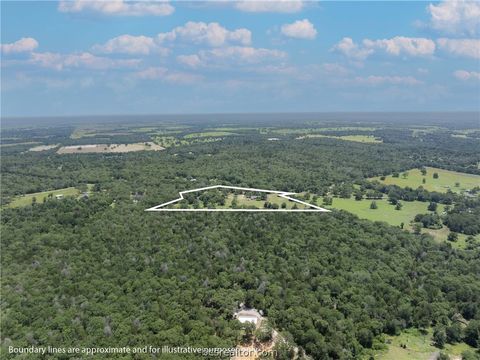 Tiny photo for 3248 County Road 324, Caldwell, TX 77836 (MLS # 26006107)