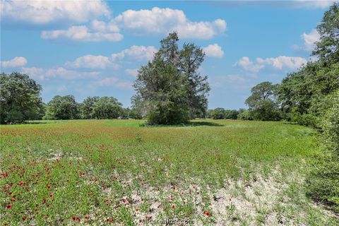 Tiny photo for 3248 County Road 324, Caldwell, TX 77836 (MLS # 26006107)