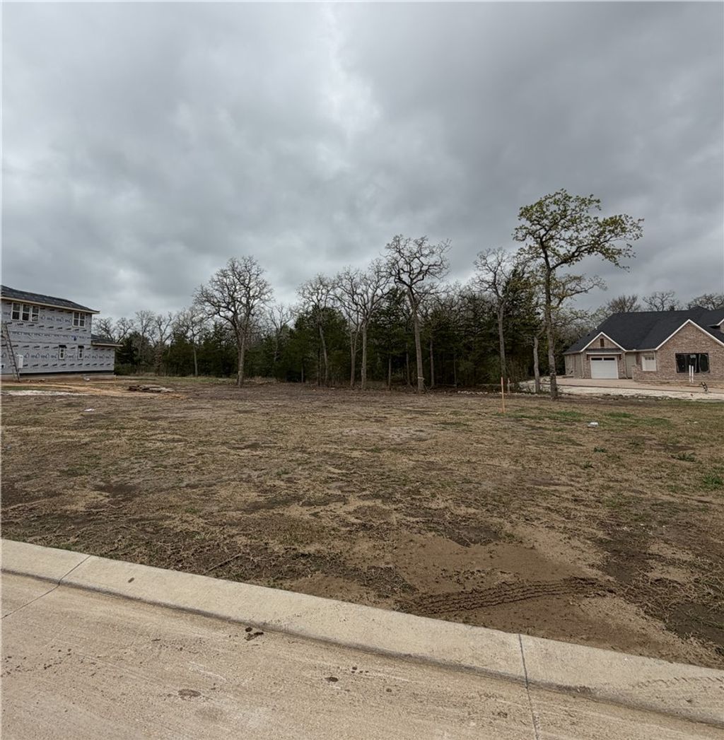 Photo of 1714 Hidalgo Pass Court, College Station, TX 77845 (MLS # 26003085)