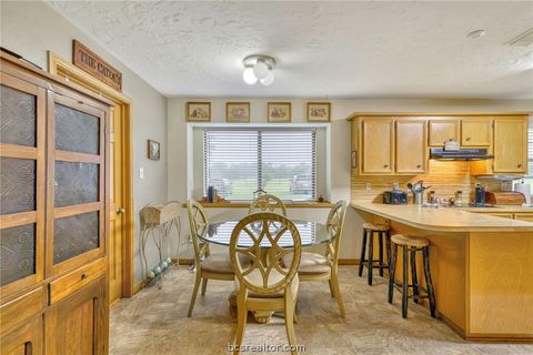 Tiny photo for 5350 Wiseman Road, Midway, TX 75852 (MLS # 26006496)