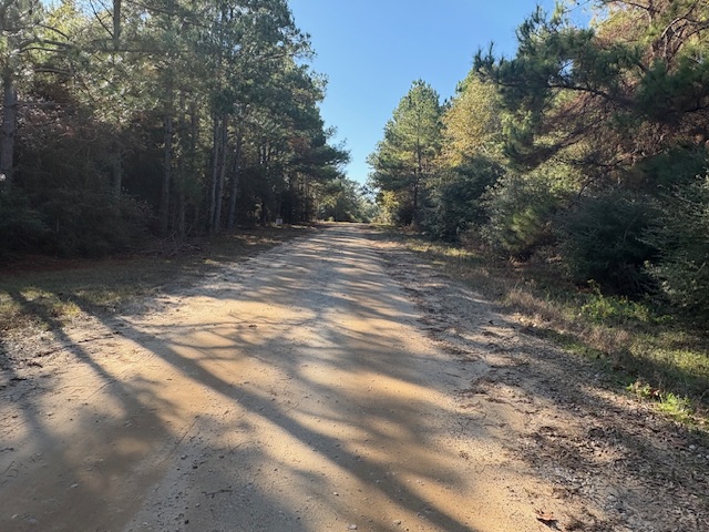 TBD Lot 20 Nassau Lane