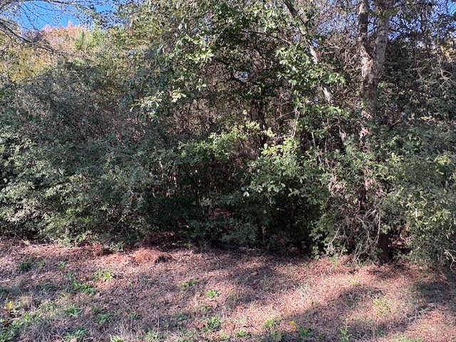 TBD Lot 20 Nassau Lane