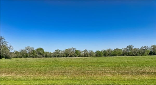 10146 PANTHER CREEK DRIVE, IOLA, TX 77861 - Image 22863157bd3d5113fdca55c85487ca7b/2020957582