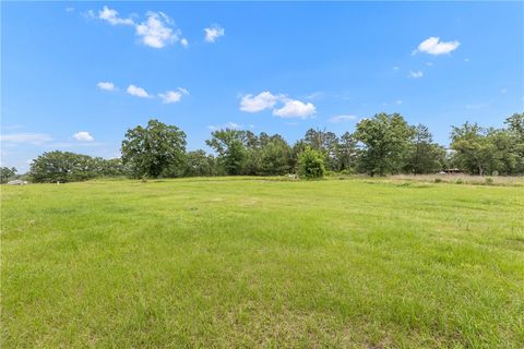 Tiny photo for 3508 Dick Barnes Loop, Bedias, TX 77831 (MLS # 26005675)