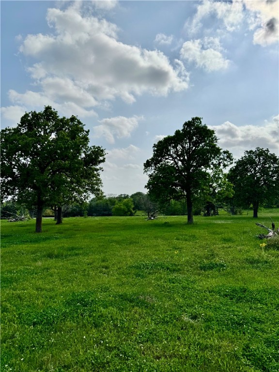 15420 Arhopulos Road