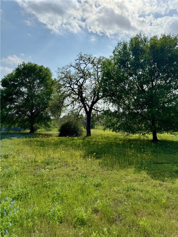 15420 Arhopulos Road