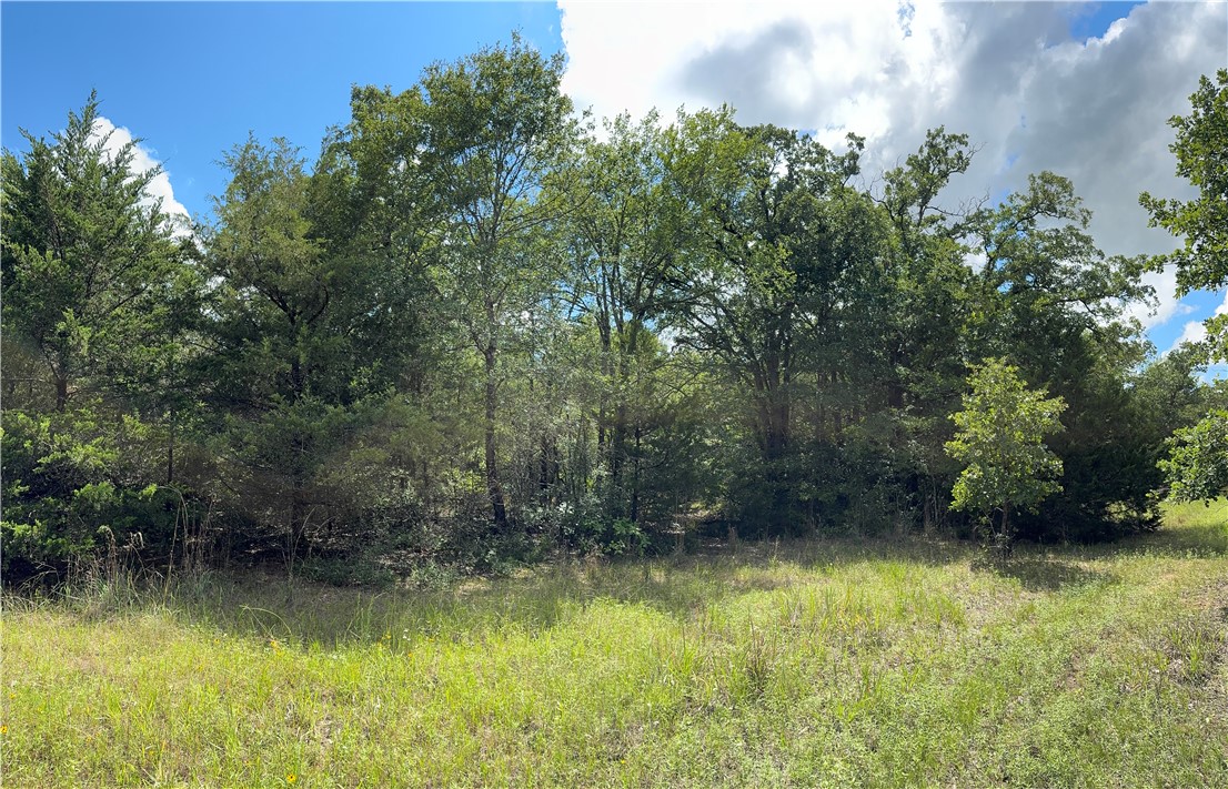 TBD Pin Oak Road