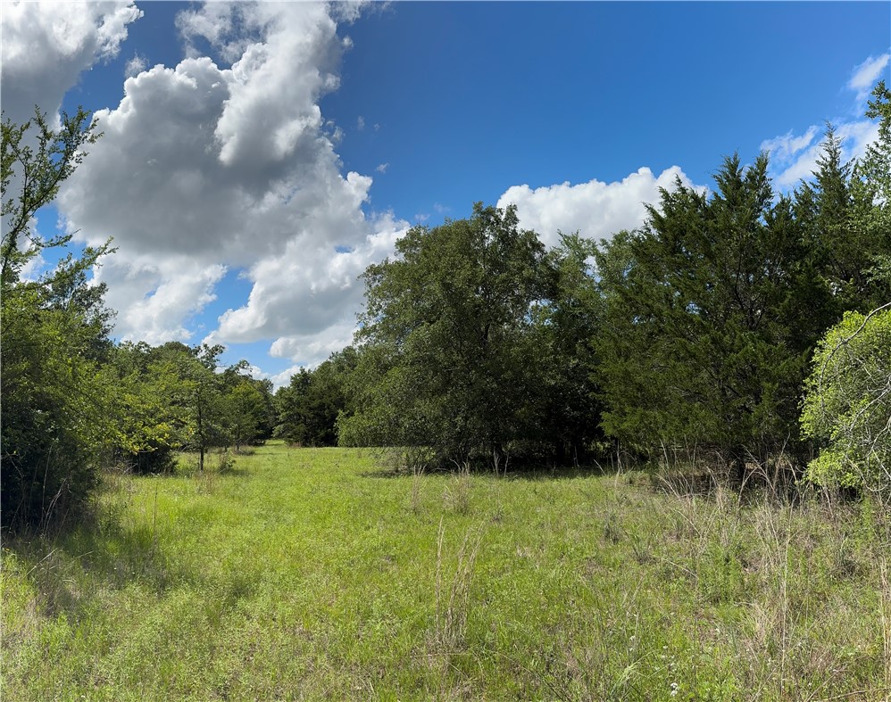 TBD Pin Oak Road