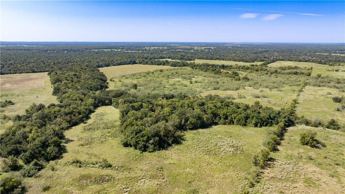 Franklin, Texas 77856, United States, ,Land,Active,222137