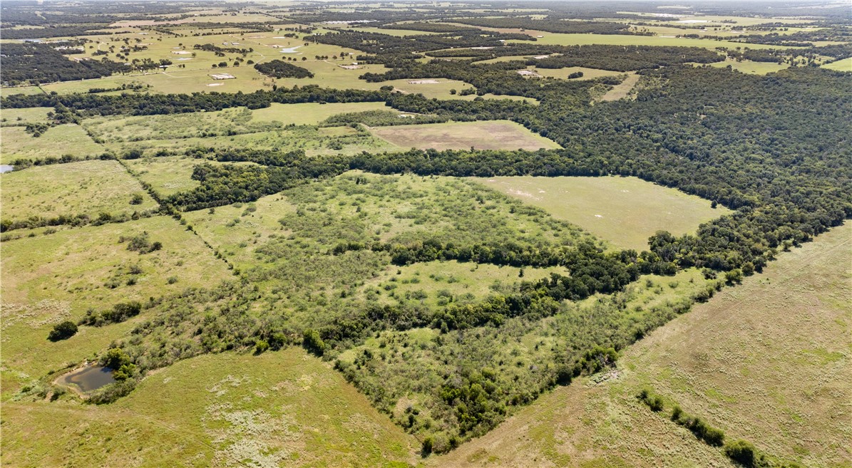 Franklin, Texas 77856, United States, ,Land,Active,222137