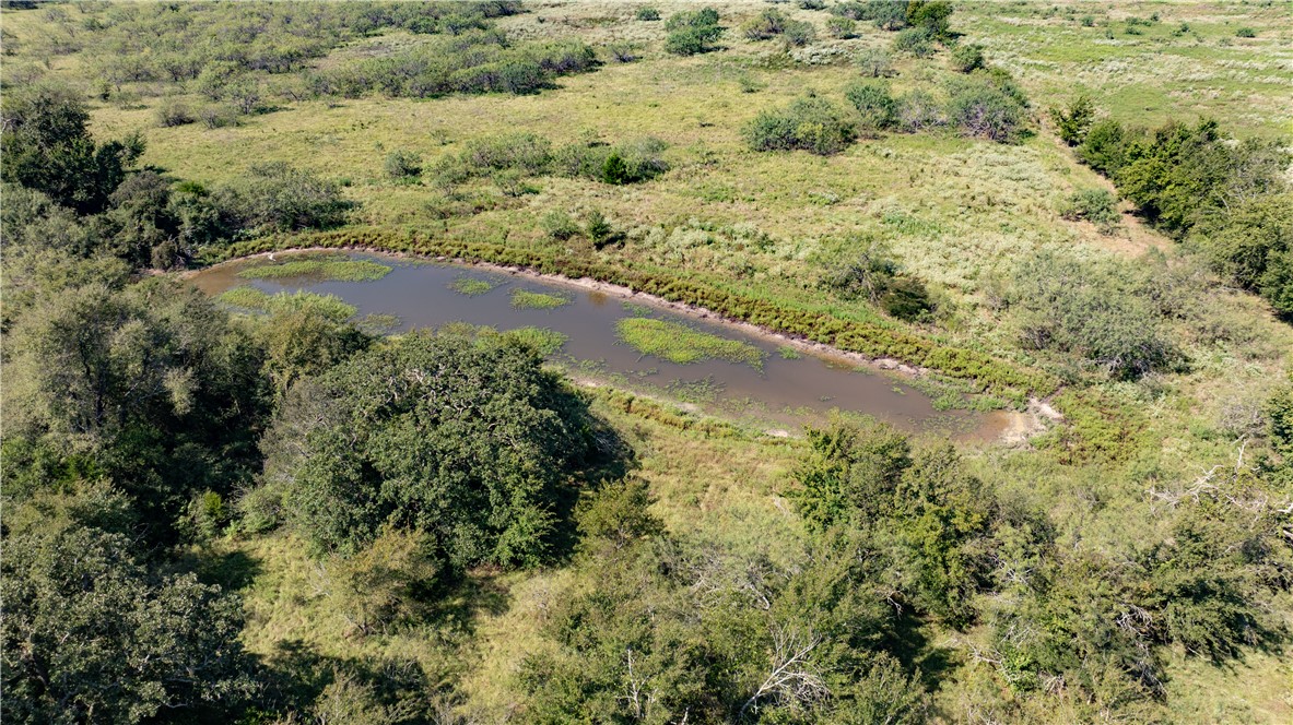 Franklin, Texas 77856, United States, ,Land,Active,222137