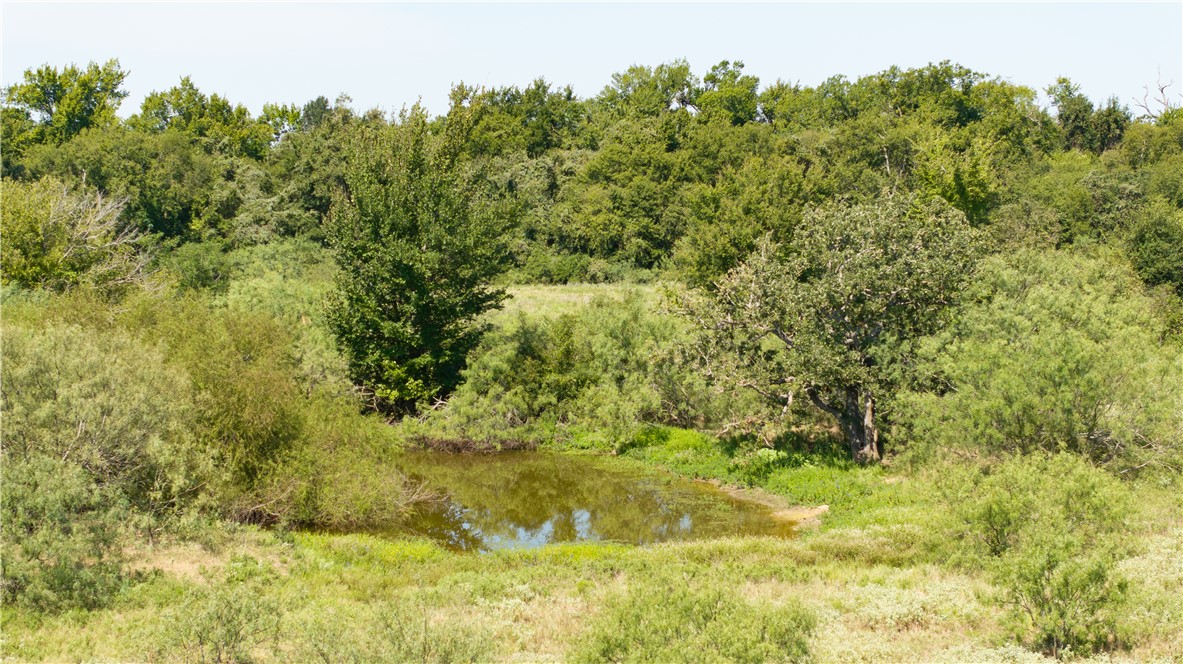 Franklin, Texas 77856, United States, ,Land,Active,222137