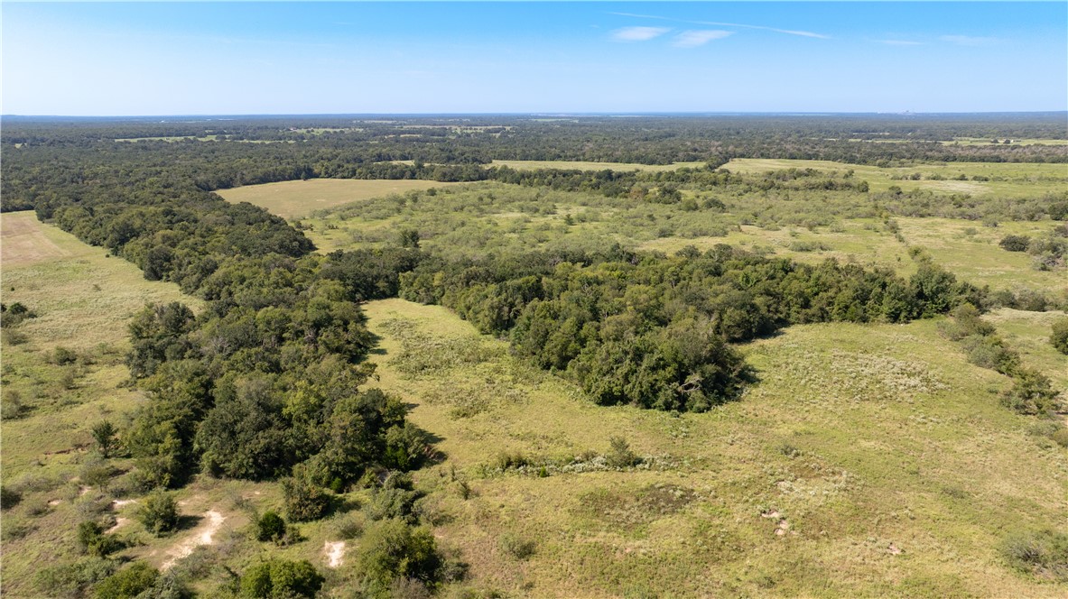 Franklin, Texas 77856, United States, ,Land,Active,222137