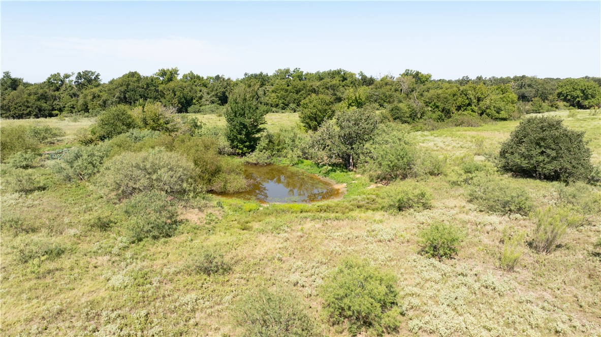 Franklin, Texas 77856, United States, ,Land,Active,222137