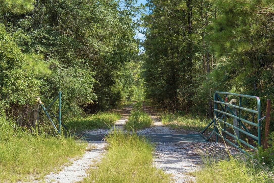 118.25 Acres CR 278C