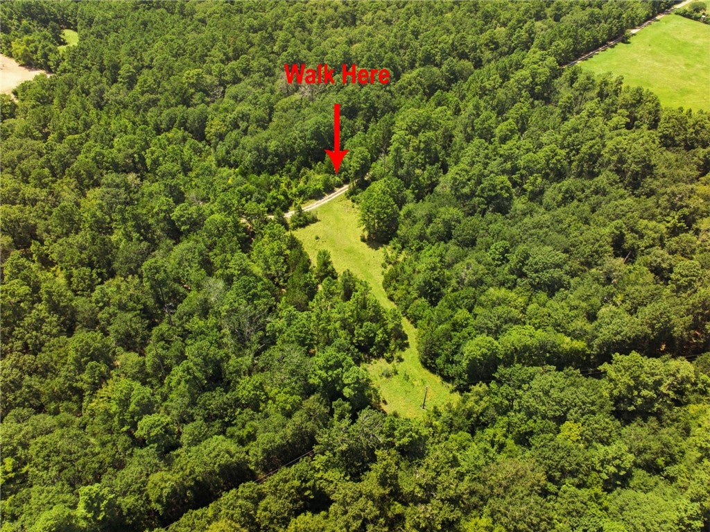 118.25 Acres CR 278C