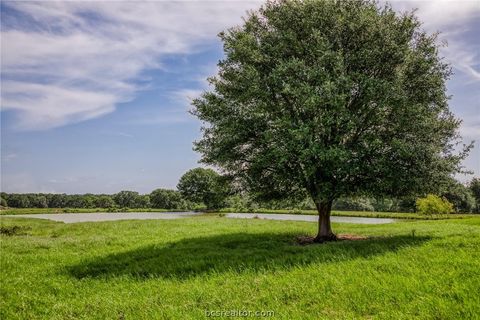Tiny photo for 18581 William Penn Road, Washington, TX 77880 (MLS # 26001922)