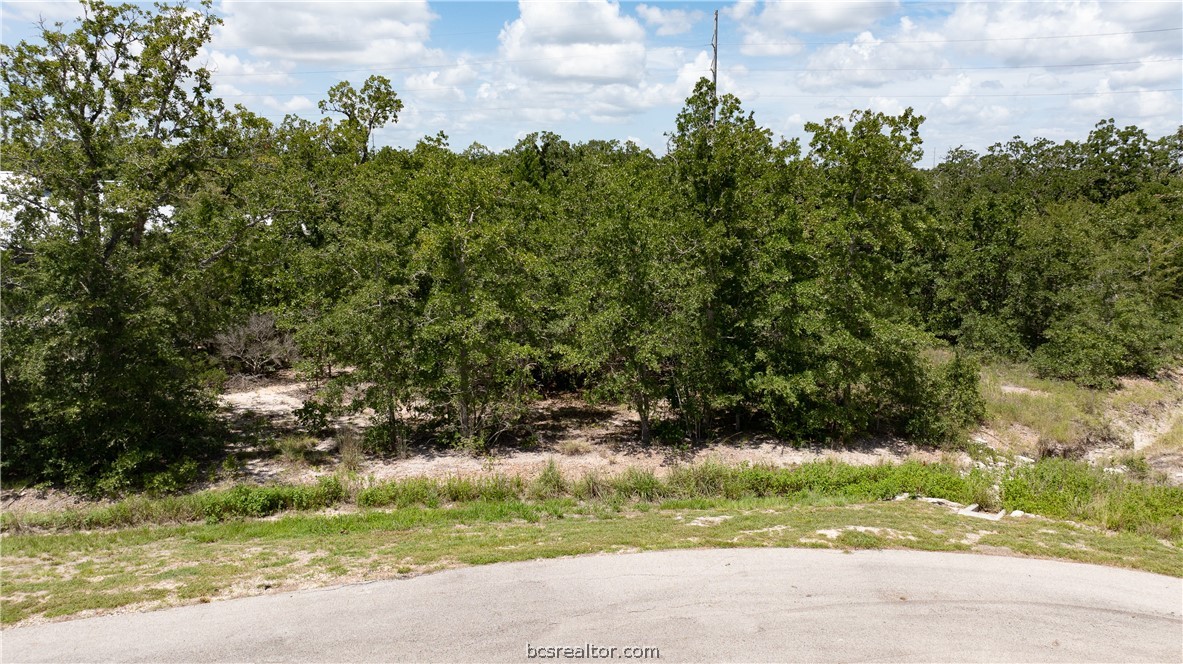 College Station, Texas 77845, United States, ,Land,Pending,50810