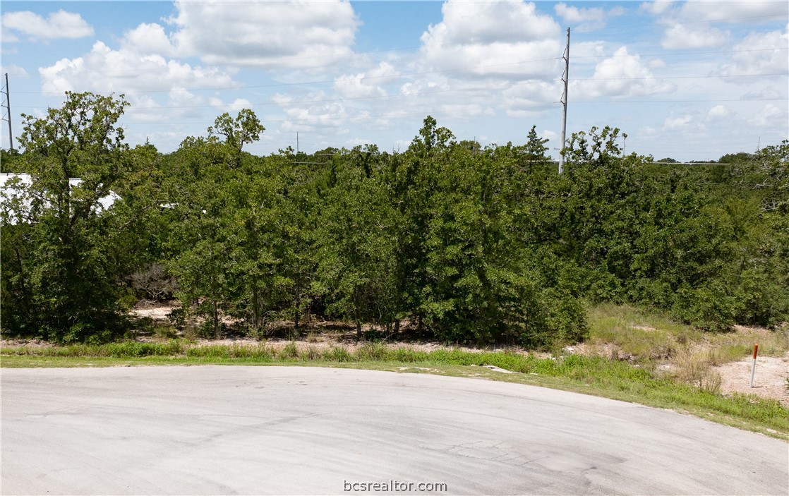 College Station, Texas 77845, United States, ,Land,Pending,50810