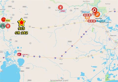 Tiny photo for 975 County Road 182, Other, TX 77575 (MLS # 26004069)