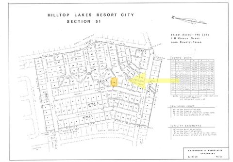 TBD Jiminy Cricket Hilltop Lakes TX 77871