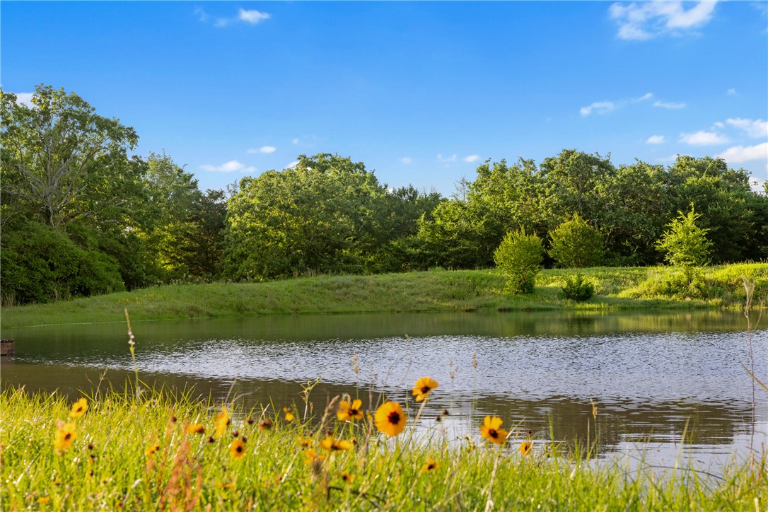 TBD Little Mississippi Cemetery Road